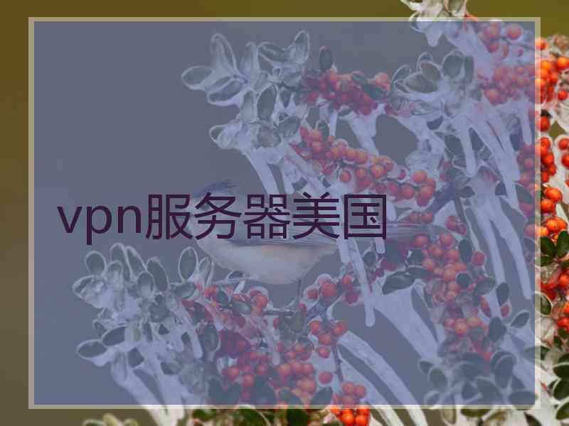 vpn服务器美国